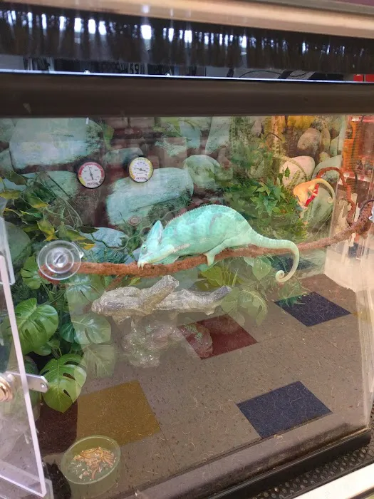 Petco Picture 9