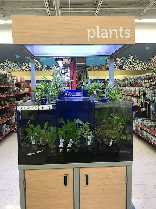 Petco Picture 10