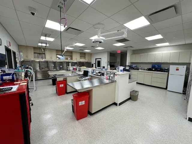 GSVS Veterinary Emergency Care Toms River Picture 1