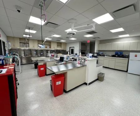 GSVS Veterinary Emergency Care Toms River