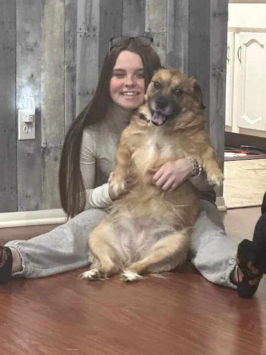 GSVS Veterinary Emergency Care Toms River Picture 7