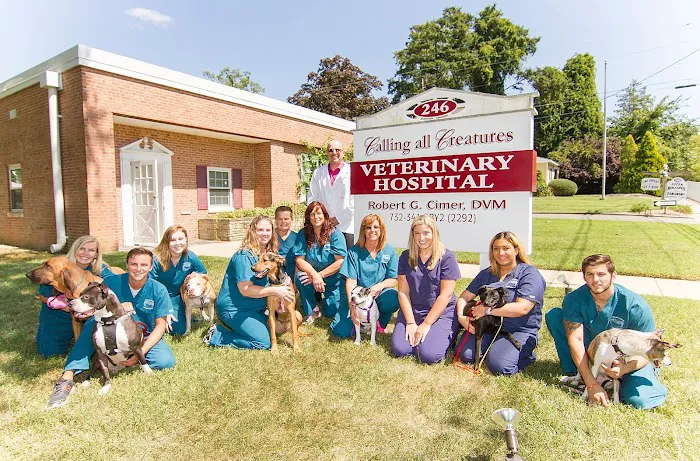 Calling All Creatures Veterinary Hospital Picture 3