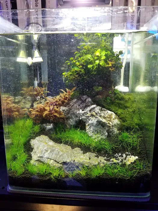 Easy Aquariums - Westbrook Picture 2