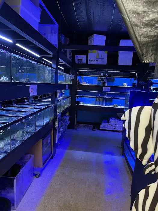 Easy Aquariums - Westbrook Picture 5