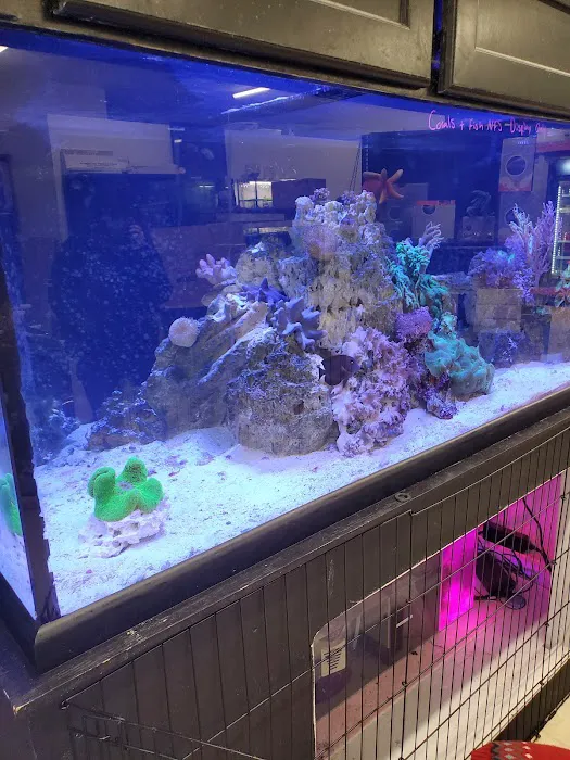Easy Aquariums - Westbrook Picture 4