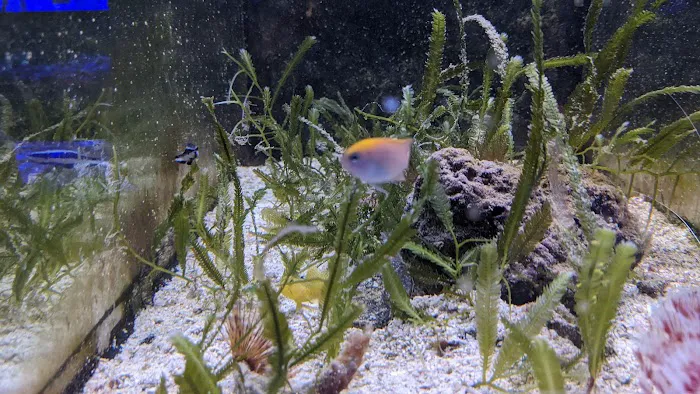 Easy Aquariums - Westbrook Picture 7
