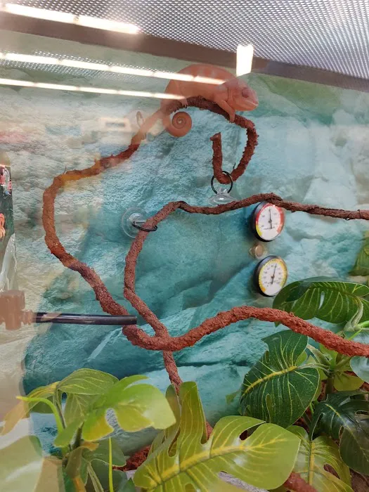 Petco Picture 4