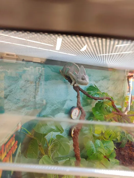 Petco Picture 3