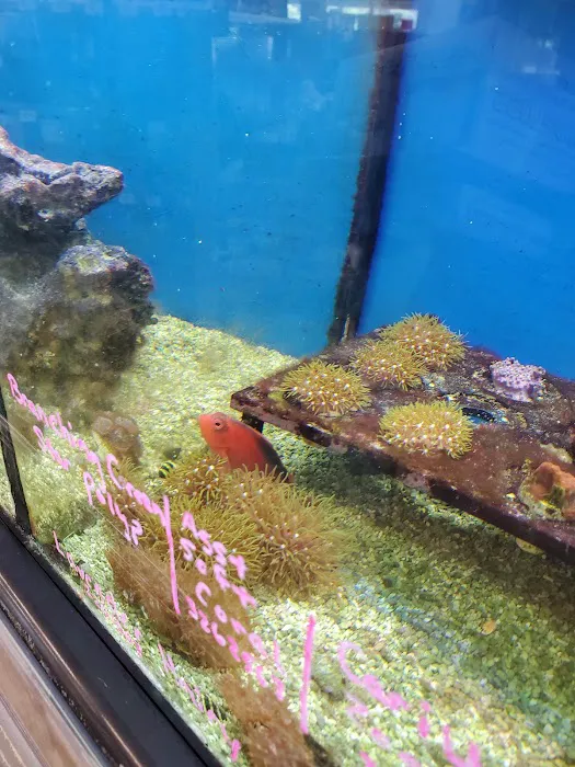 Petco Picture 7
