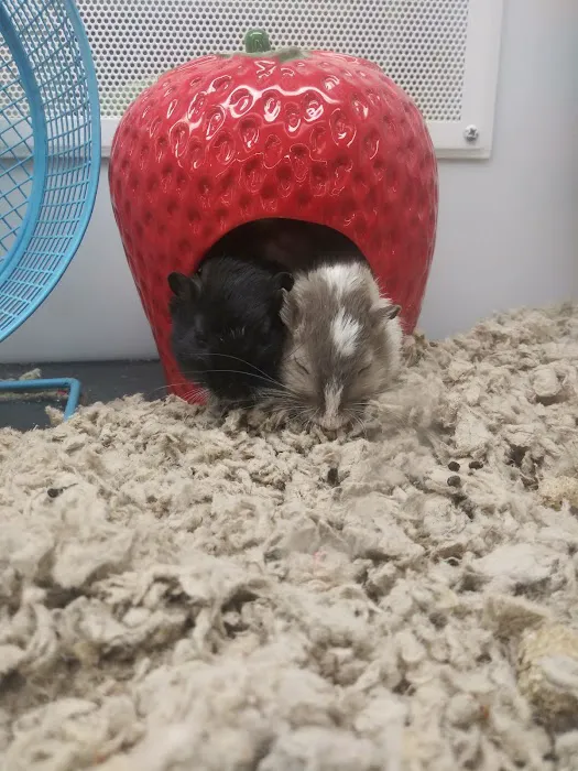 Petco Picture 5