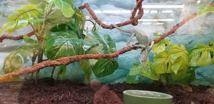 Petco Picture 6