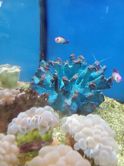 Petco Picture 10