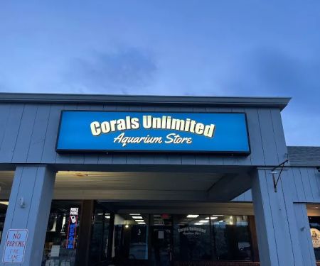 Corals Unlimited Aquarium Store & Services