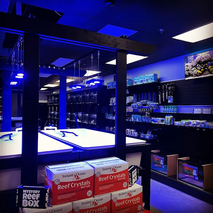 Corals Unlimited Aquarium Store & Services Picture 4