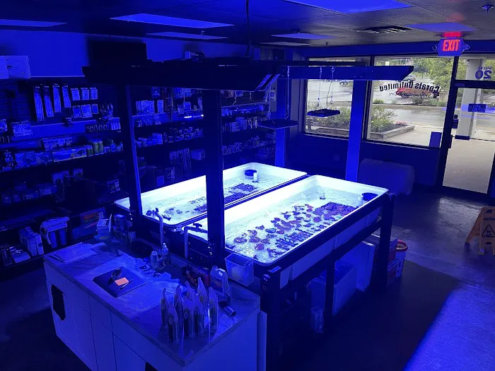 Corals Unlimited Aquarium Store & Services Picture 7