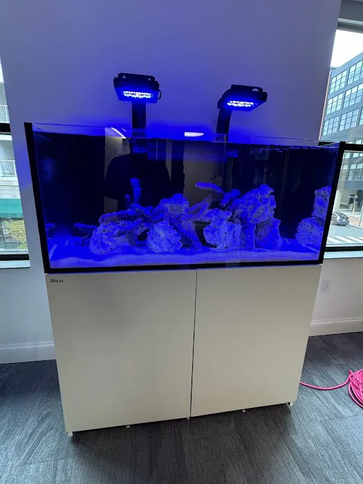 Corals Unlimited Aquarium Store & Services Picture 8