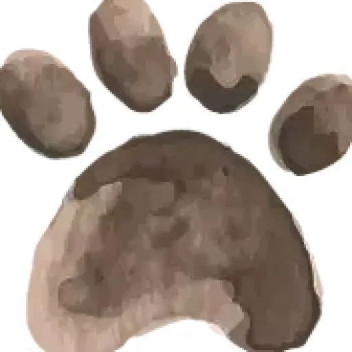 Pawtastic Doodle Picture 2