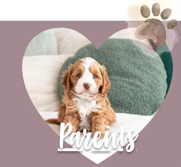 Pawtastic Doodle Picture 1