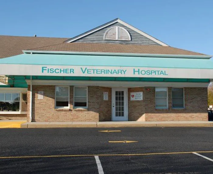 VCA Fischer Animal Hospital Picture 1