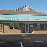 VCA Fischer Animal Hospital ico