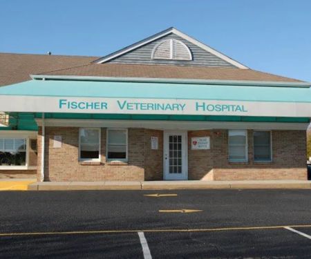 VCA Fischer Animal Hospital