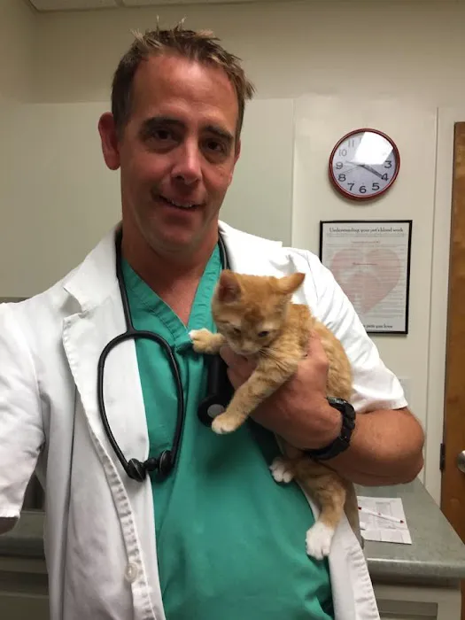 VCA Fischer Animal Hospital Picture 3