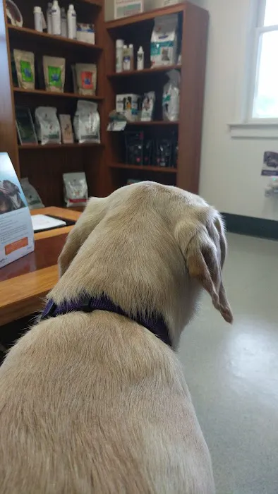 VCA Fischer Animal Hospital Picture 10
