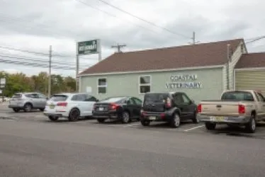 Coastal Veterinary Picture 3