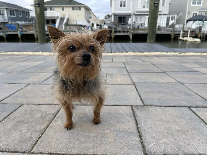 Coastal Veterinary Picture 2