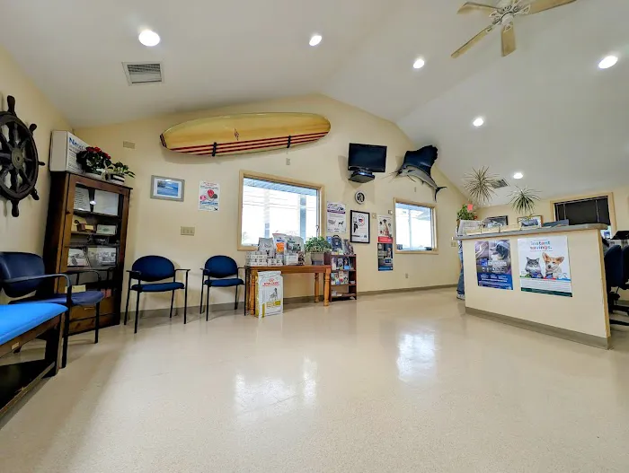 Coastal Veterinary Picture 10