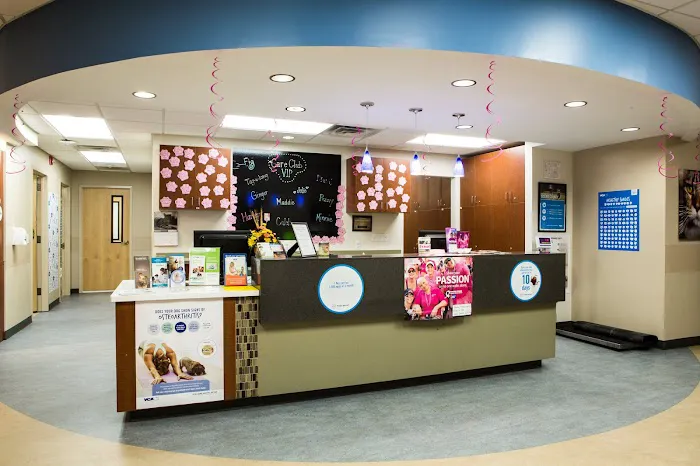 Bayview Animal Hospital Picture 1