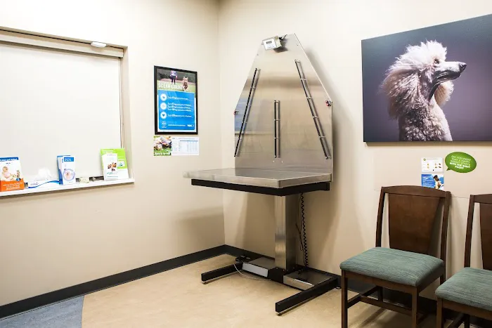 Bayview Animal Hospital Picture 2