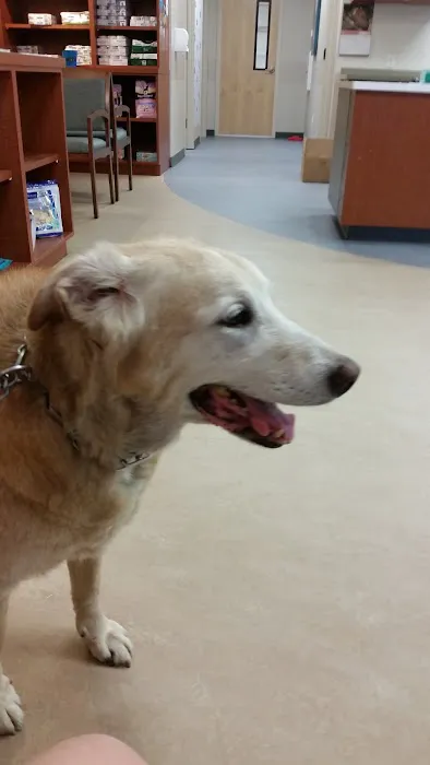 Bayview Animal Hospital Picture 9