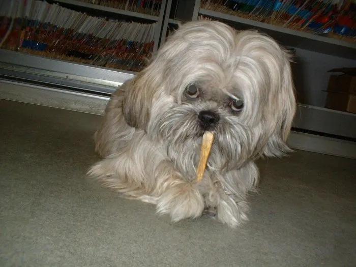 Bayview Animal Hospital Picture 10