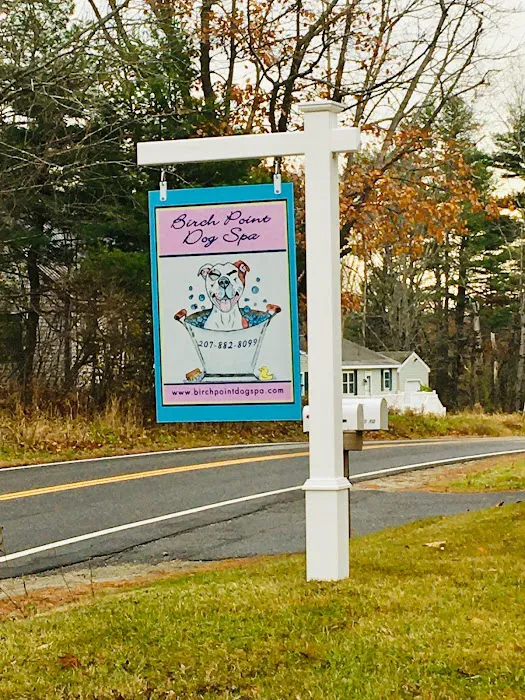 Birch Point Dog Spa Picture 7