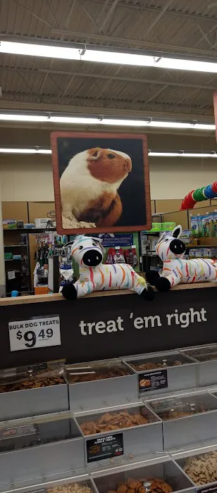 Petco Picture 5