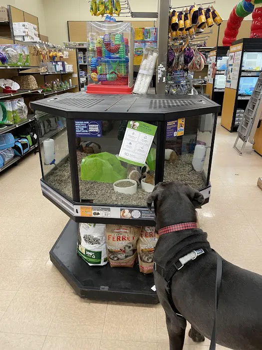 Petco Picture 4