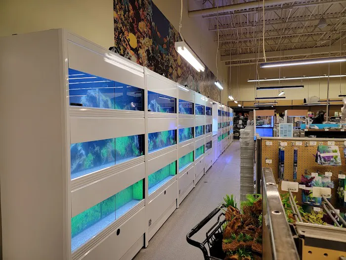 Petco Picture 8