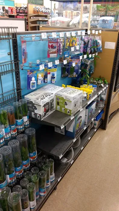 Petco Picture 7