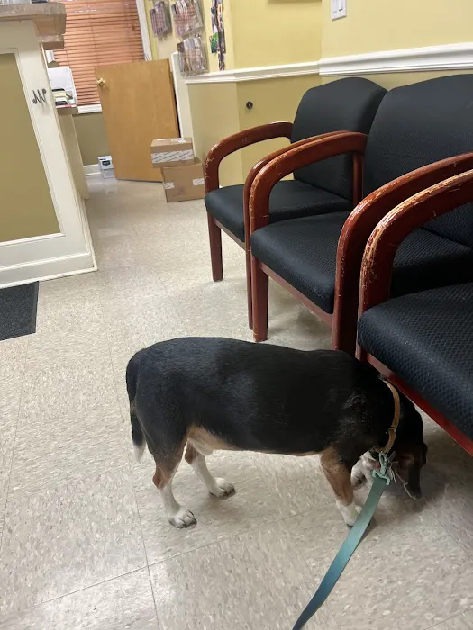 Crestwood Village Veterinary Clinic Picture 8