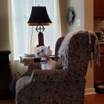 Mainely Puppies Plus