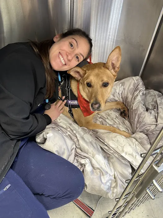 Long Branch Animal Hospital Picture 4