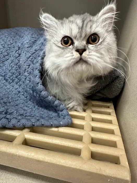 Long Branch Animal Hospital Picture 9