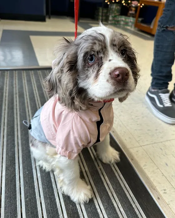 Long Branch Animal Hospital Picture 7