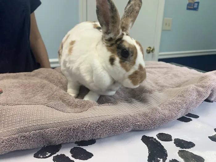 Long Branch Animal Hospital Picture 10