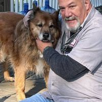 Atlantic Highlands Animal Hospital ico