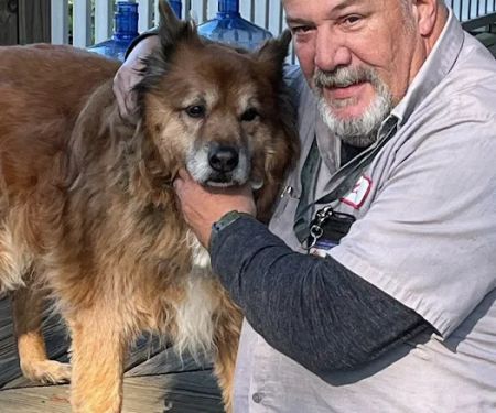 Atlantic Highlands Animal Hospital