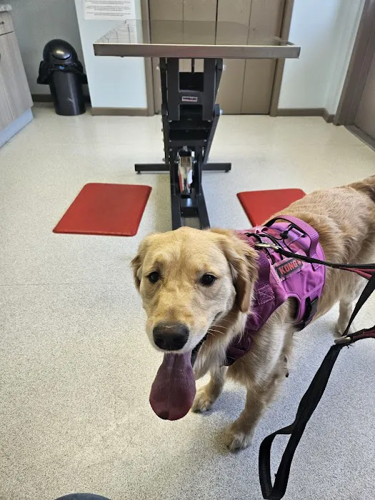 Atlantic Highlands Animal Hospital Picture 3