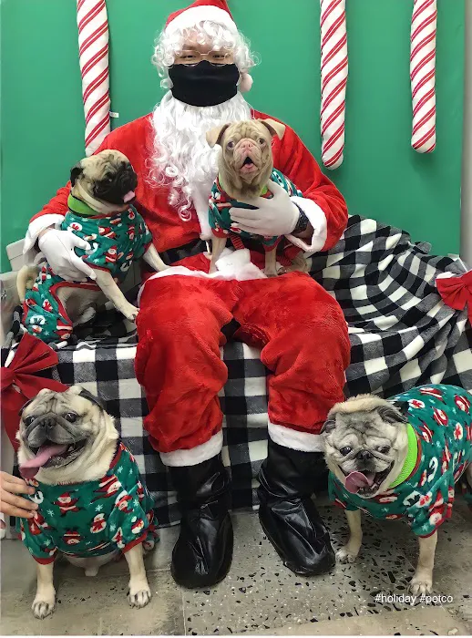 Atlantic Highlands Animal Hospital Picture 6