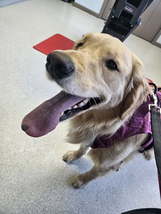 Atlantic Highlands Animal Hospital Picture 9